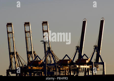 Skyline des Container-Terminals im Hamburger Hafen, auf dem Gelaende der HHLA (Hamburger Hafen und Logistik AG) in Waltershof. Stockfoto