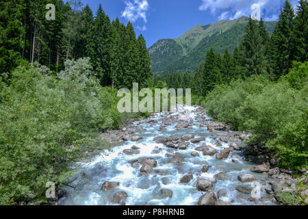 Fluss im Wald im Naturpark Adamello Brenta, Dolomiten, Italien fließt Stockfoto