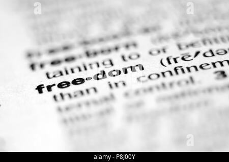 Extreme Makro oder aus der Nähe von das Wort Freiheit. Sehr geringe Tiefenschärfe ist beabsichtigt und zeigt nur das Wort Freiheit im Fokus. Stockfoto