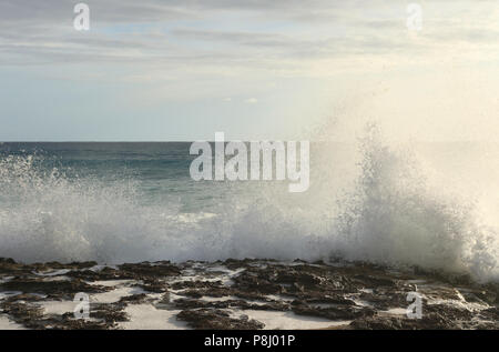 Strand Szene an Keawaula Strand, nördlich von Makaha. Keawaula Strand, Kaena Point State Park, Makaha, Insel Oahu, Hawaii, USA. Stockfoto