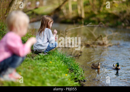 Zwei bezaubernde Schwestern füttern Enten an einem Fluss im Sommer Stockfoto