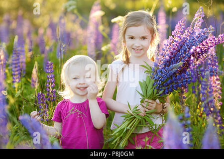 Zwei süße kleine Schwestern Spaß im schönen blühenden Lupinen Feld im Sommer Stockfoto