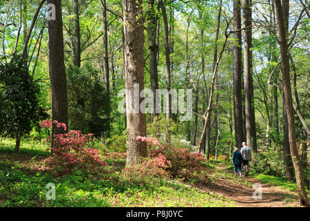 Reifes Paar, South Carolina Botanical Garden, Clemson, South Carolina, USA Stockfoto