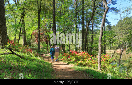 Reifes Paar, South Carolina Botanical Garden, Clemson, South Carolina, USA Stockfoto