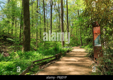 South Carolina Botanical Garden, Clemson, South Carolina, USA Stockfoto