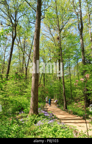 Besucher nach South Carolina Botanical Garden, Clemson, South Carolina, USA Stockfoto