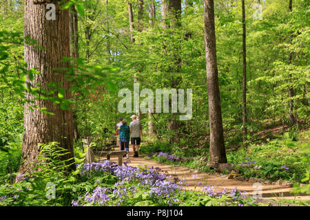 Gruppe von Besuchern nach South Carolina Botanical Garden, Clemson, South Carolina, USA Stockfoto