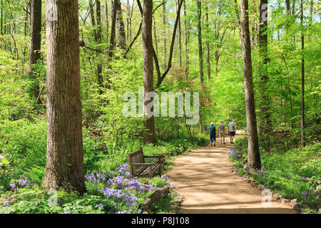 Gruppe von Besuchern nach South Carolina Botanical Garden, Clemson, South Carolina, USA Stockfoto