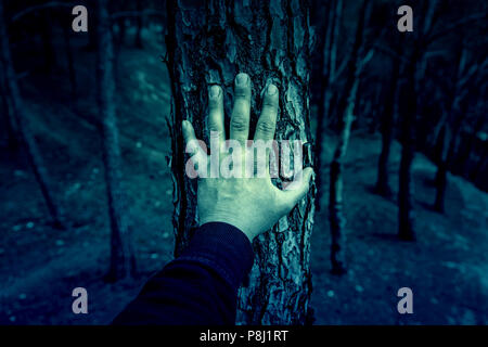 Männliche Hand Berühren eines Baumes, Detail der Liebe zur Natur, Umwelt Stockfoto