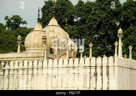 Moti Masjid (Perlenmoschee), Red Fort Complex, Neu-Delhi, Indien Stockfoto