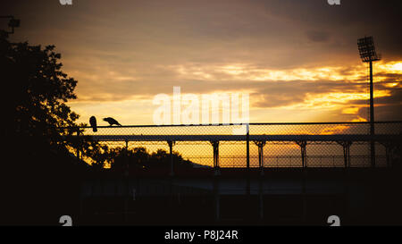 Sonnenuntergang auf Sport Yards, interessante zwei Raben auf Zaun. Stockfoto