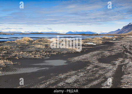 Gräser wachsen in schwarzen vulkanischen Sand Dünen bei Vestrahorn, South Island. Stockfoto