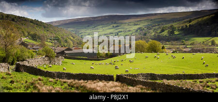 Das VEREINIGTE KÖNIGREICH, England, Yorkshire, Swaledale, Gunnerside, Gunnerside Schafe in Feld am Rande des Dorfes, Panoramablick Stockfoto