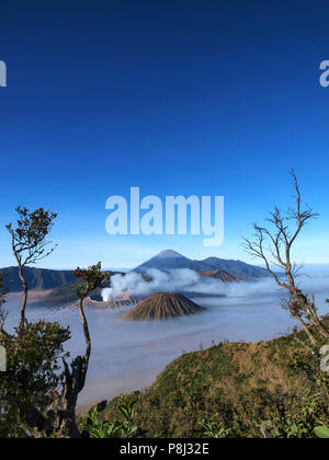 Bromo Berge in einer schönen Nebel Sonnenaufgang von Penanjakan Hügel gesehen Stockfoto