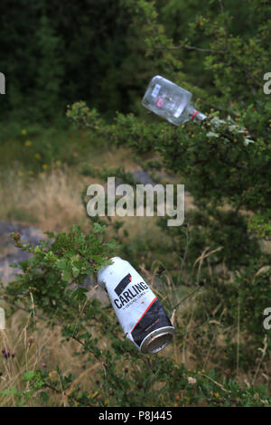 Leere Getränkedosen auf den Ästen der Bäume links, UK. Stockfoto