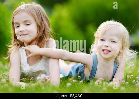 Zwei süße kleine Schwestern Spaß beim mit in das Gras an einem sonnigen Sommertag Stockfoto