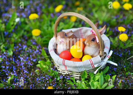 Bunte Ostereier in einem Korb auf einem Gras mit zwei Hasen Stockfoto