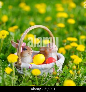 Bunte Ostereier in einem Korb auf einem Gras mit zwei Hasen Stockfoto