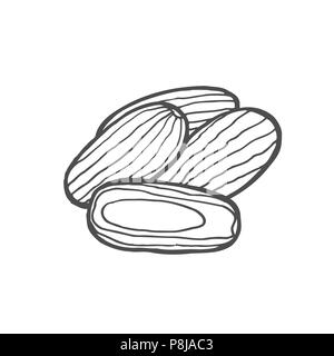 Getrocknete Früchte. Vector Illustration der Termine. Vector Illustration Stock Vektor