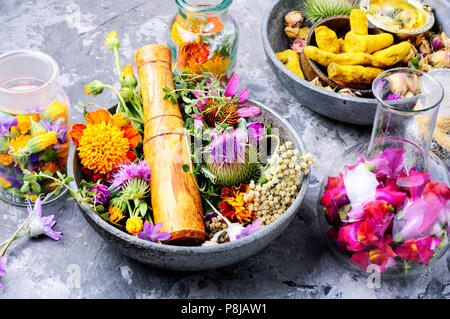 Verschiedene raw medizinische Kräuter und Blumen. Alternative Medizin Konzept Stockfoto