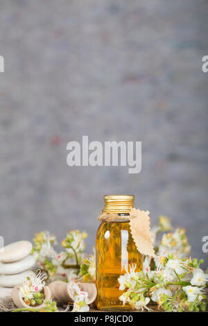 Glas Flasche Rosskastanie Öl extrahieren. Nahaufnahme Stockfoto