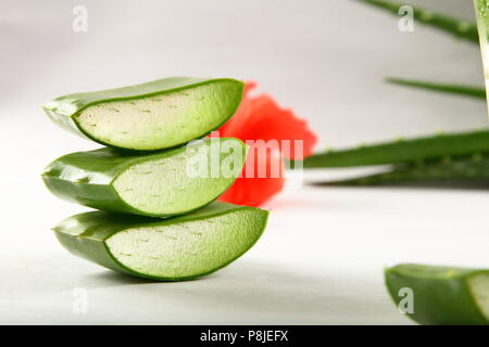 Closeup Bild - frisches Wild Aloe vera Schichten Stockfoto