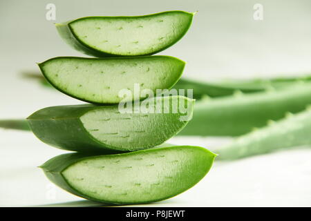 Closeup Bild - frisches Wild Aloe vera Schichten Stockfoto