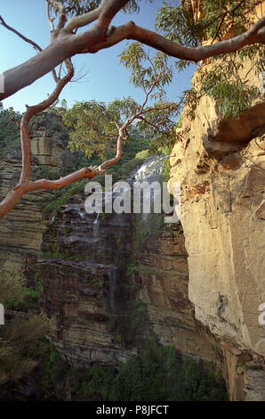 Die wichtigsten Wentforth fällt Wasserfall, Blue Mountains, NSW, Australien: Eine lange drop Stockfoto