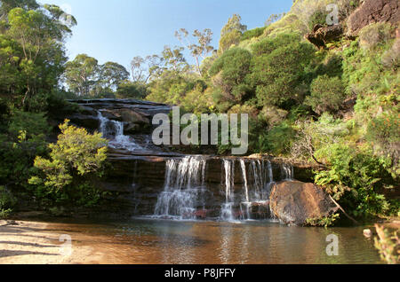 Die Kaskaden gerade über die wichtigsten Wentforth fällt Wasserfall, Blue Mountains, NSW, Australien Stockfoto