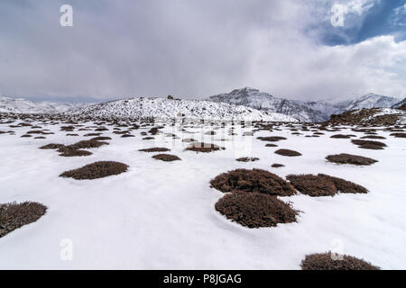 Dhankar Dorf, Winter Spiti, Himachal Stockfoto