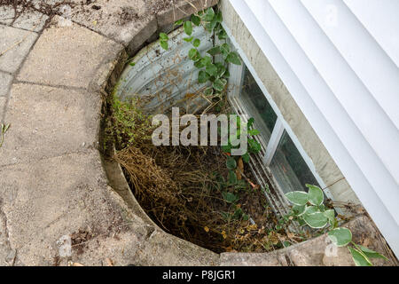 Blick hinunter Blick in eine vernachlässigte Egress Fenster im Keller eines Hauses mit einem Gewirr von Unkraut und Schmutz, Clearing Stockfoto