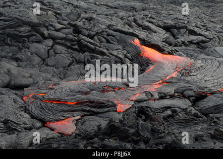 Frische Pahoehoe-lava Fluss von der Puu oo an den Flanken des Kilauea Vulkans vent, auf der grossen Insel von Hawai'i Stockfoto