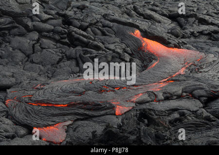 Frische Pahoehoe-lava Fluss von der Puu oo an den Flanken des Kilauea Vulkans vent, auf der grossen Insel von Hawai'i Stockfoto