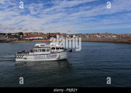 Seafari Explorer Abfahrt Anstruther Fife Schottland Juli 2018 Stockfoto