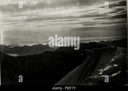 . 529 Standpunkt Monte Vioz, Blick gegen Ost, Sonnenaufgang. (BildID) 15422842 Stockfoto