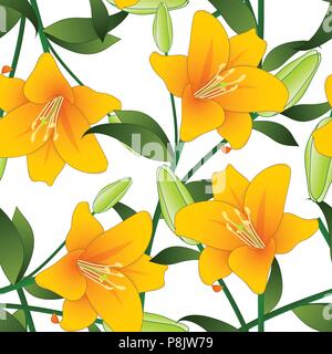 Lilium Candidum, die Madonnenlilie oder Orange Lilie auf weißem Hintergrund. Vector Illustration. Stock Vektor