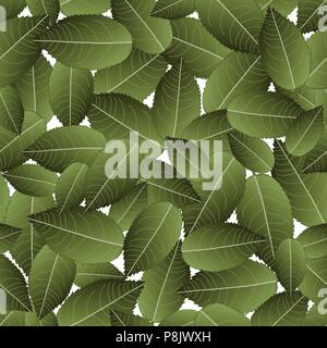 Rose grüne Blätter auf weißem Hintergrund. Vector Illustration. Stock Vektor