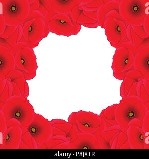 Papaver rhoeas Grenze (oder Common Poppy, Corn Poppy, Mais Rose, field Poppy, Flandern Mohn oder roter Mohn) auf weißem Hintergrund. Vector Illustration Stock Vektor