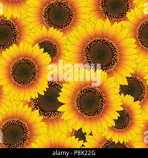 Orange-gelbe Sonnenblumen nahtlose Hintergrund. Vector Illustration. Stock Vektor