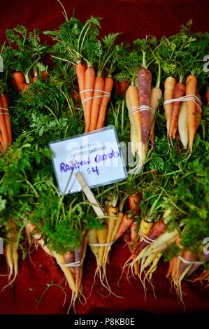 Ordentlich Bündel von Rainbow Karotten (Bunte) an der Walker Farmen farmstand für Verkauf an Farmers Market in Savannah, Georgia, USA Stockfoto