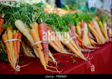 Ordentlich Bündel von Rainbow Karotten (Bunte) an der Walker Farmen farmstand für Verkauf an Farmers Market in Savannah, Georgia, USA Stockfoto