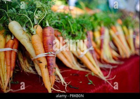 Ordentlich Bündel von Rainbow Karotten (Bunte) an der Walker Farmen farmstand für Verkauf an Farmers Market in Savannah, Georgia, USA Stockfoto