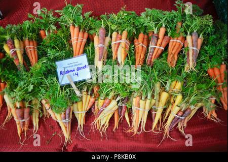 Ordentlich Bündel von Rainbow Karotten (Bunte) an der Walker Farmen farmstand für Verkauf an Farmers Market in Savannah, Georgia, USA Stockfoto