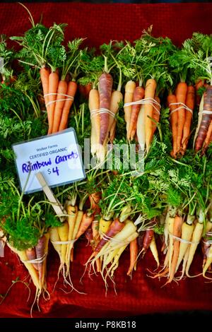 Ordentlich Bündel von Rainbow Karotten (Bunte) an der Walker Farmen farmstand für Verkauf an Farmers Market in Savannah, Georgia, USA Stockfoto