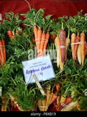 Ordentlich Bündel von Rainbow Karotten (Bunte) an der Walker Farmen farmstand für Verkauf an Farmers Market in Savannah, Georgia, USA Stockfoto