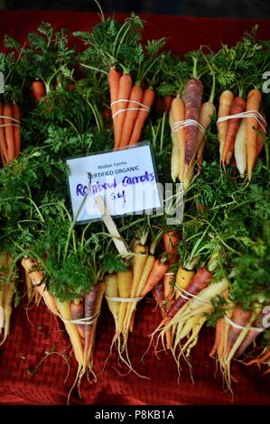 Ordentlich Bündel von Rainbow Karotten (Bunte) an der Walker Farmen farmstand für Verkauf an Farmers Market in Savannah, Georgia, USA Stockfoto