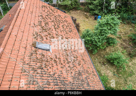 Flug über dem roten Dach eines Einfamilienhauses mit Kamin und eine SAT-Antenne für die Inspektion, Kontrolle und Vorbereitung für eine Reparatur, wi Stockfoto