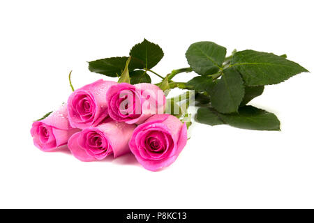 Fünf Rosen auf weißem Hintergrund closeup isoliert Schuß Stockfoto
