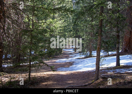 Horsethief Trail in der Nähe von Teilen, Colorado Stockfoto