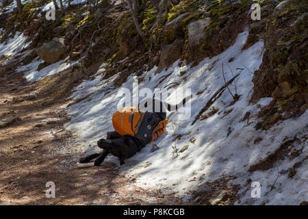 Horsethief Trail in der Nähe von Teilen, Colorado Stockfoto